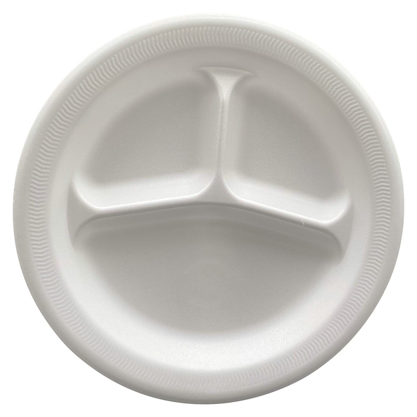 PLATO TÉRMICO #10