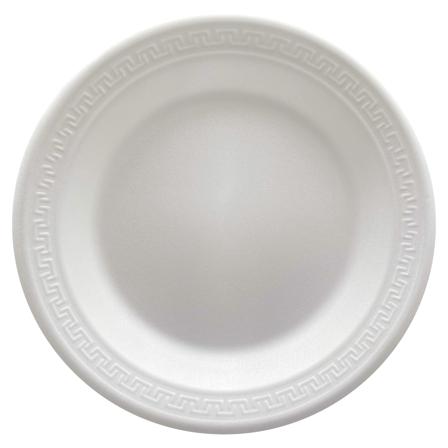 PLATO TÉRMICO #10