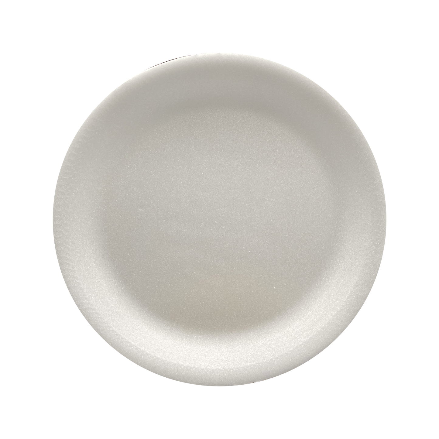 PLATO TÉRMICO LISO #6