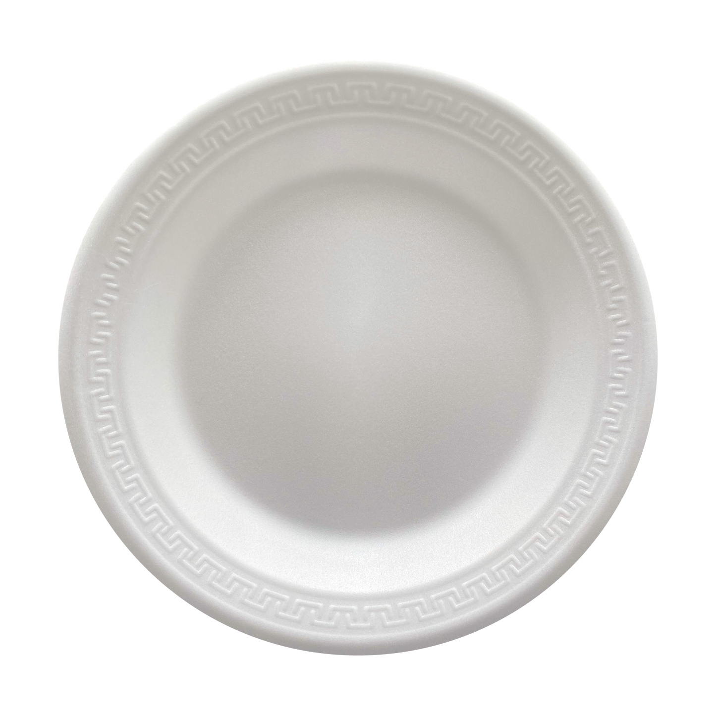 PLATO TÉRMICO #8