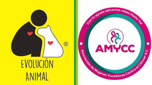 💖 En BioPoliYuca ayudamos a quienes más lo necesitan: conoce nuestras causas sociale